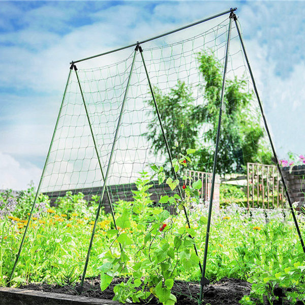 plant trellis nets application- (3)